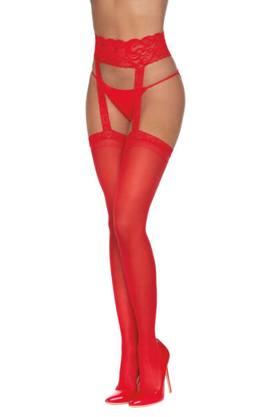 Pantyhose with Garters
