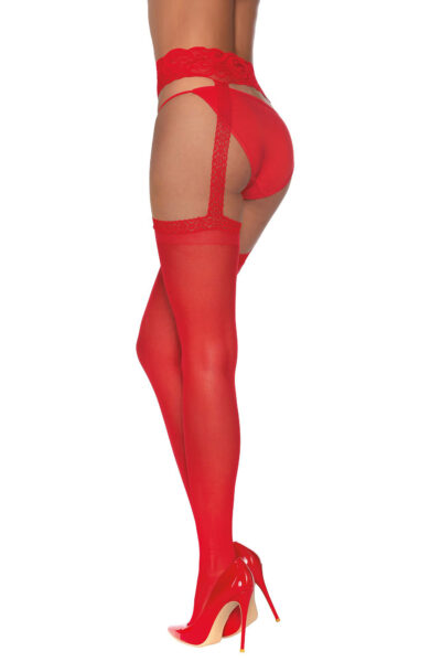 Pantyhose /w Garters